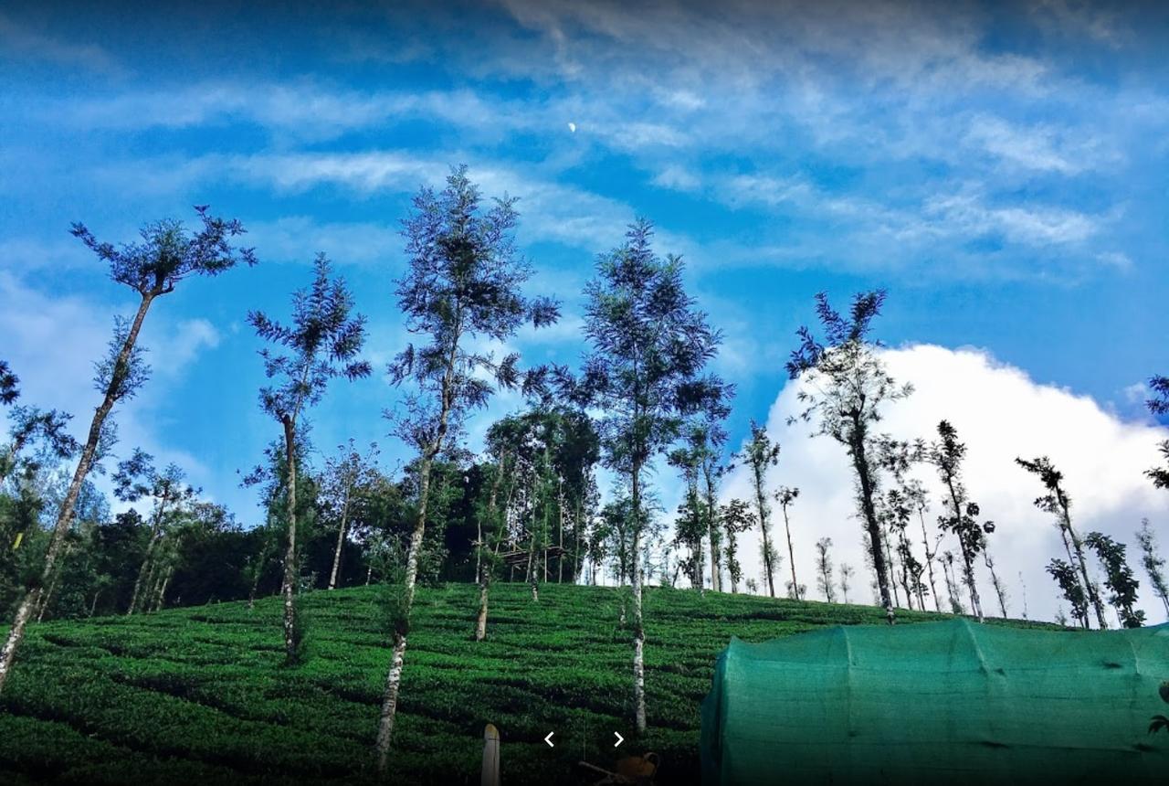Oxyfarm Resorts Wayanad Exterior photo
